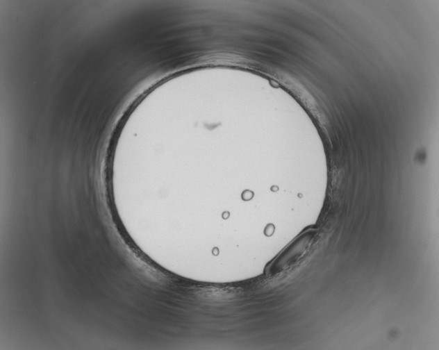 X0000116620947201001081229