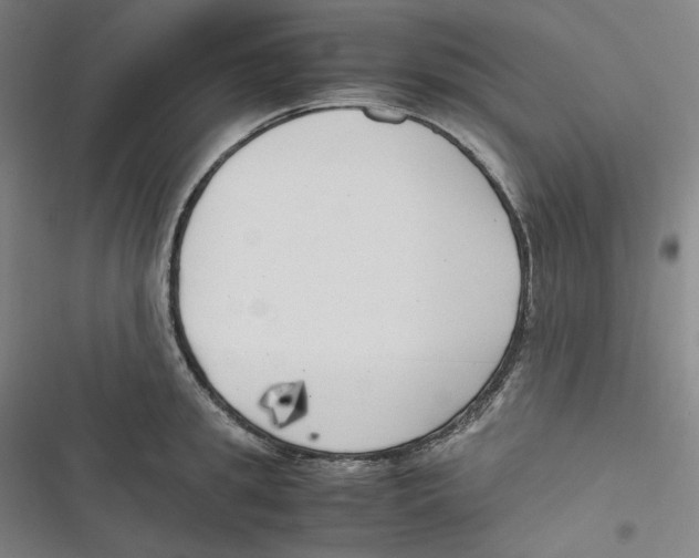 X0000116620949201001081229