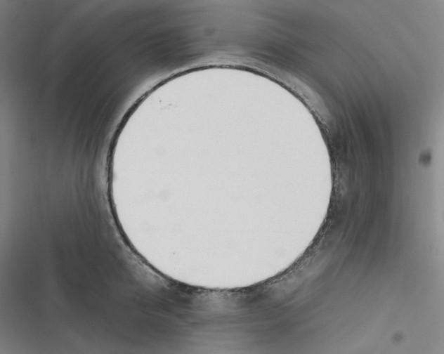 X0000116620950201001081229