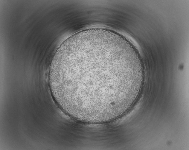 X0000116620953201001081229