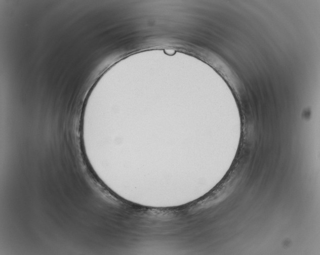 X0000116620954201001081229