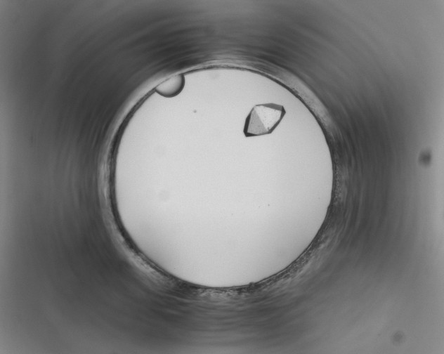 X0000116620955201001081229