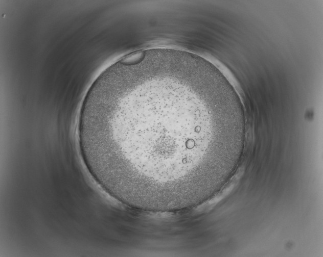 X0000116620957201001081229