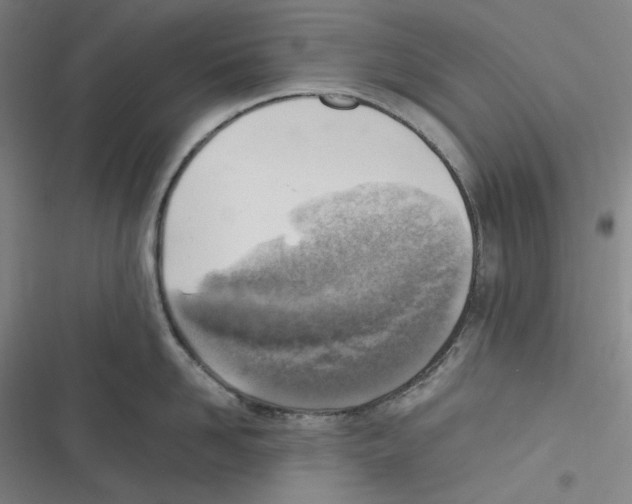 X0000116620958201001081229