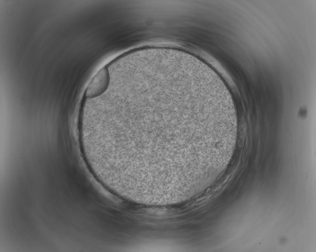 X0000116620959201001081229