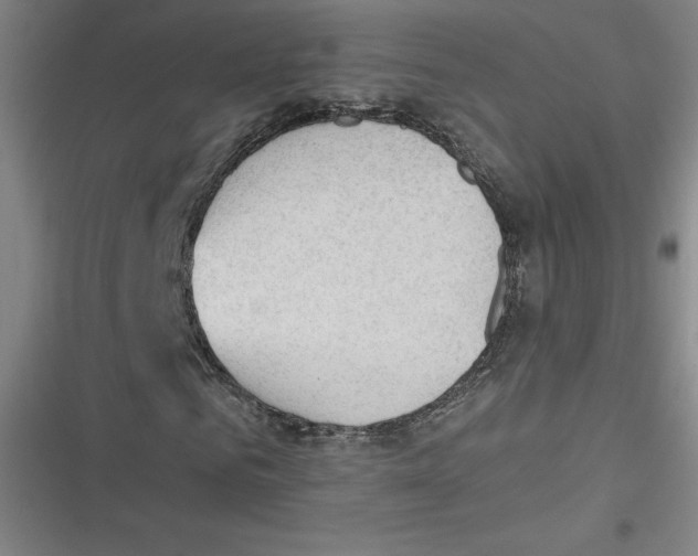 X0000116620961201001081228