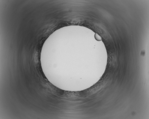 X0000116620962201001081228