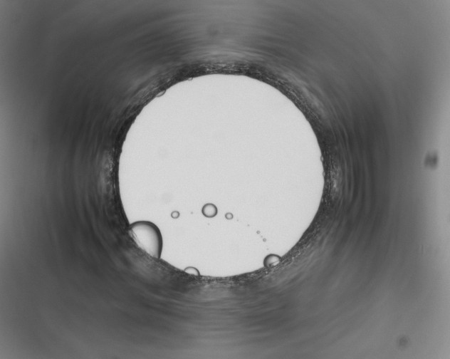 X0000116620964201001081228