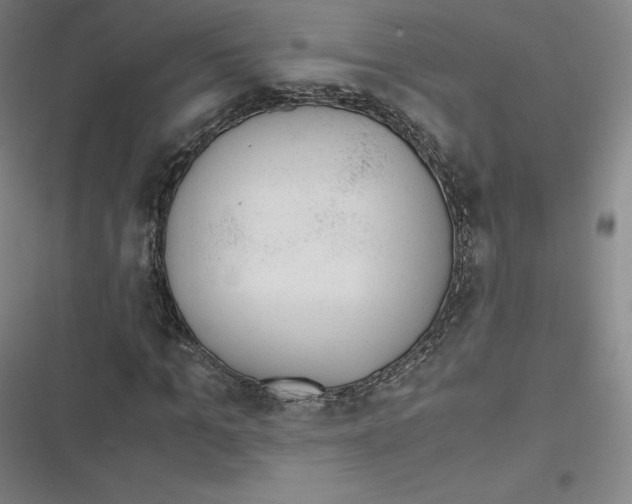 X0000116620965201001081228