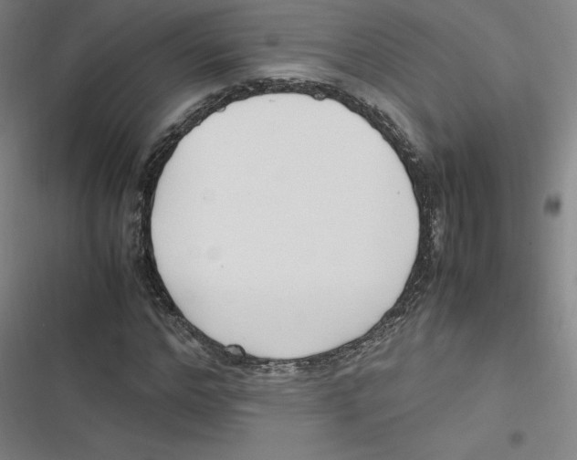 X0000116620968201001081228