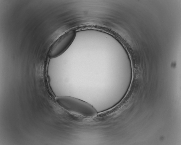 X0000116620969201001081228