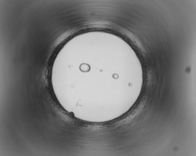 X0000116620970201001081228