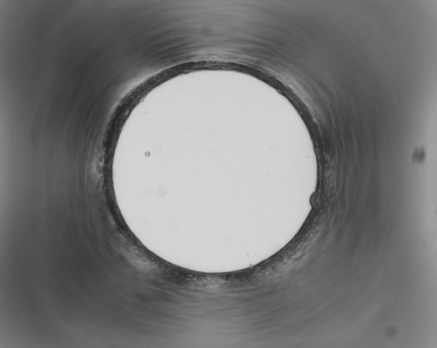 X0000116620971201001081228