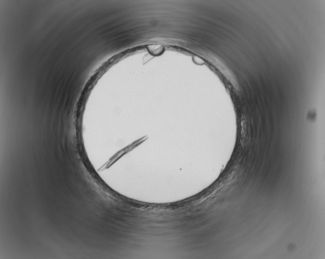 X0000116620972201001081228