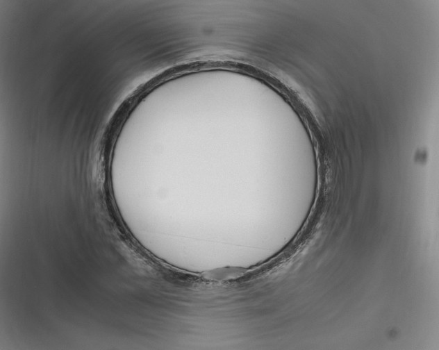 X0000116620973201001081228