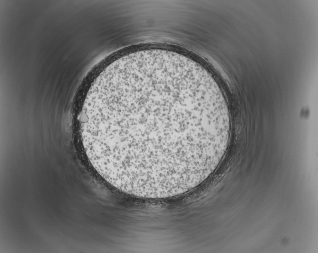 X0000116620975201001081228