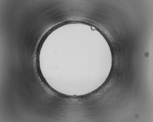 X0000116620976201001081228