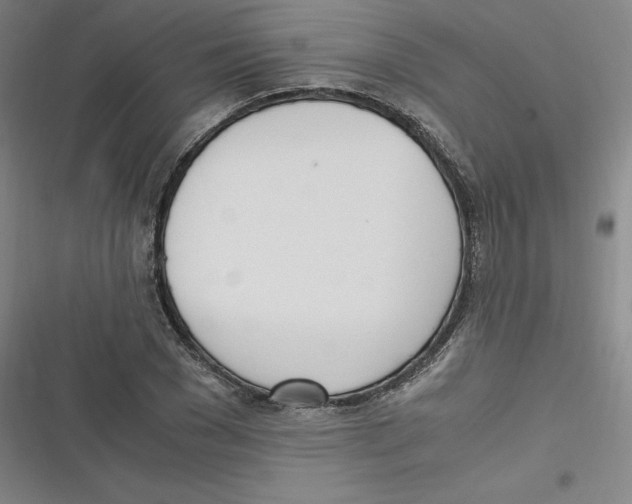 X0000116620977201001081228