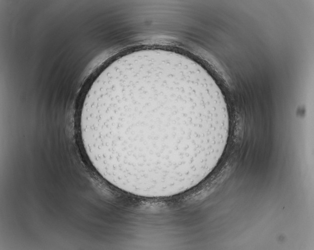 X0000116620978201001081228