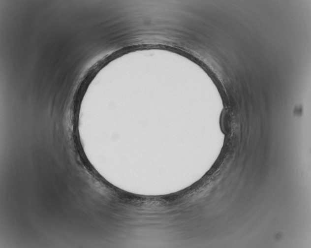 X0000116620979201001081228