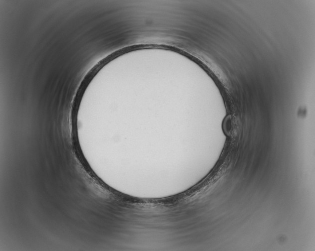 X0000116620980201001081228