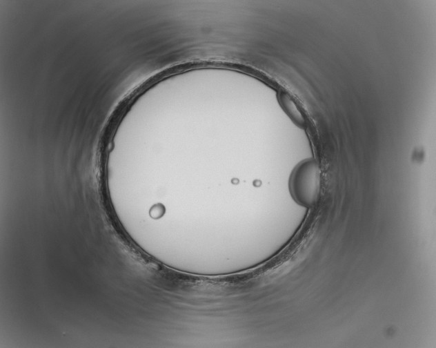 X0000116620981201001081228