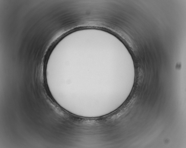 X0000116620982201001081228