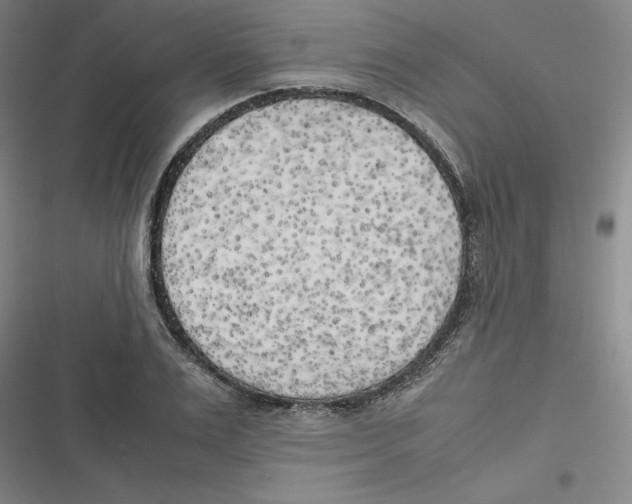 X0000116620983201001081228