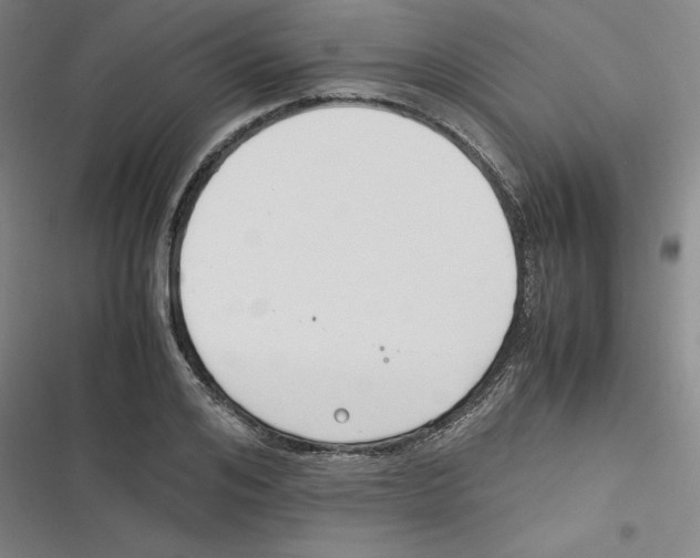 X0000116620984201001081228