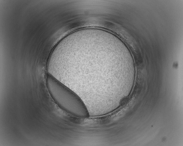 X0000116620985201001081228