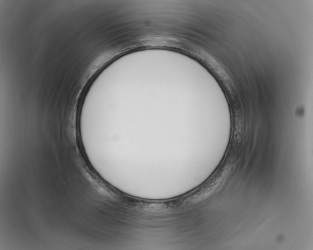 X0000116620986201001081228