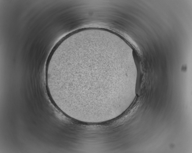 X0000116620988201001081228