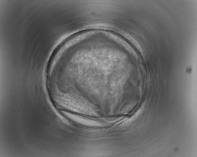 X0000116620989201001081228