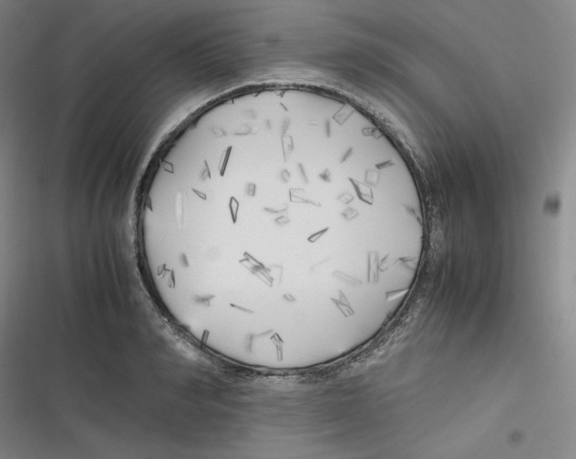 X0000116620990201001081228