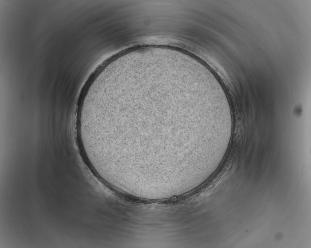 X0000116620992201001081228