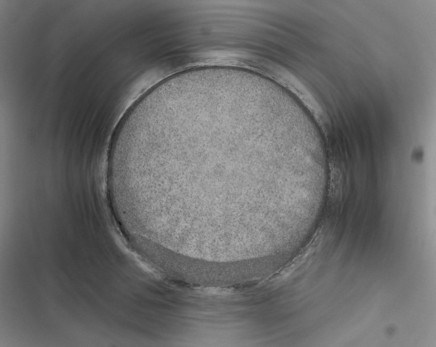 X0000116620994201001081228