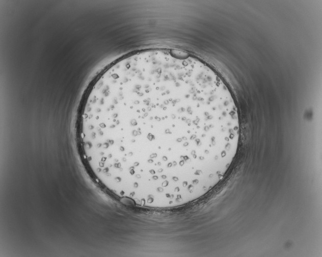 X0000116620995201001081228