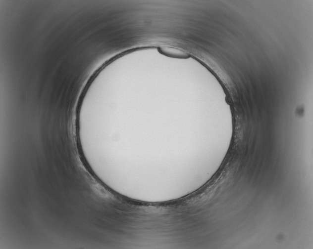 X0000116620996201001081228