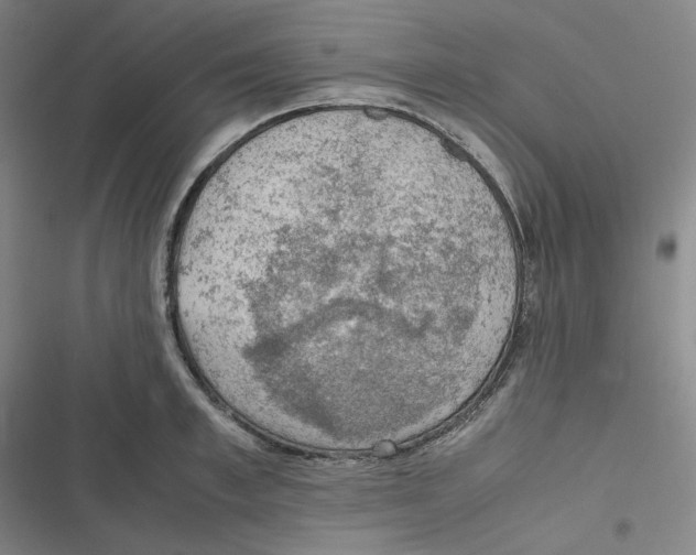 X0000116620997201001081228