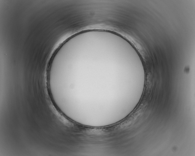 X0000116620998201001081228