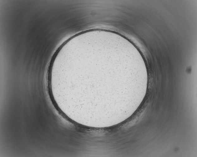 X0000116620999201001081228