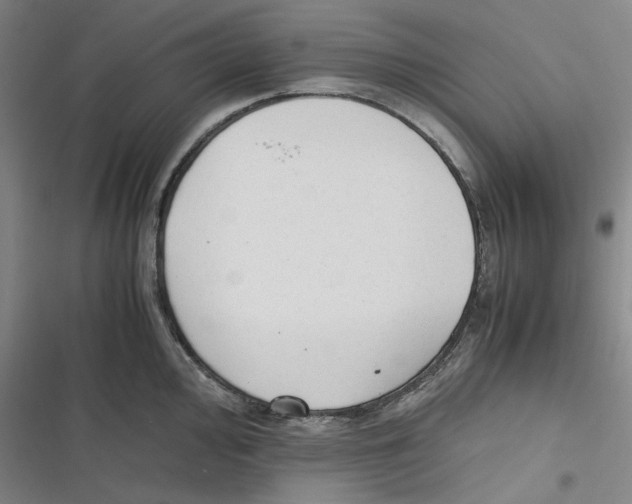 X0000116621000201001081228