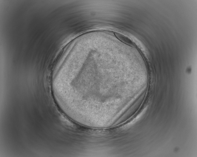 X0000116621001201001081228