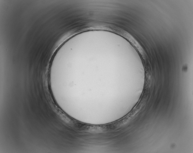 X0000116621002201001081228