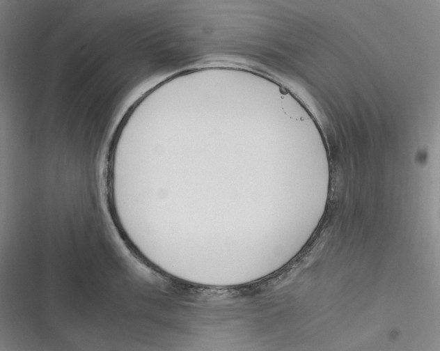 X0000116621003201001081228