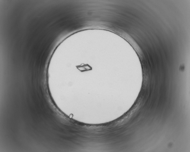 X0000116621004201001081228