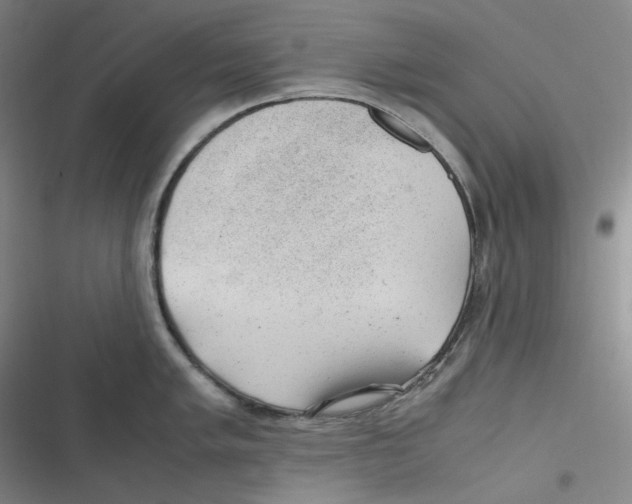 X0000116621005201001081228