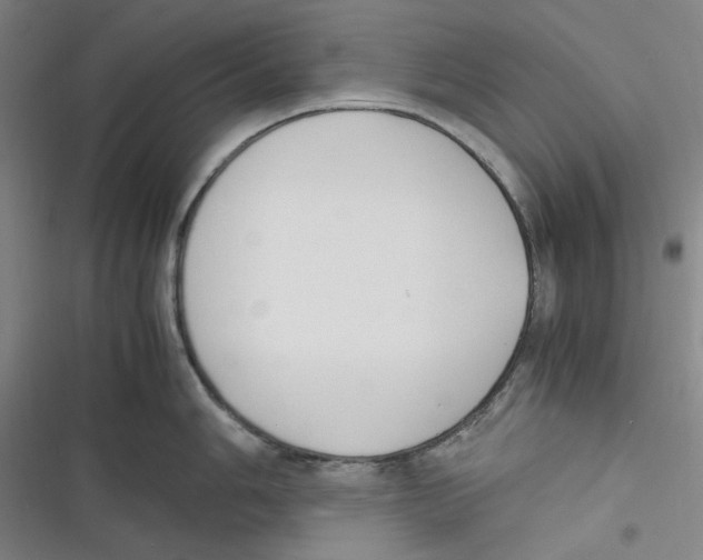 X0000116621006201001081228