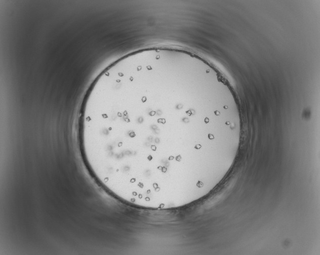 X0000116621007201001081228