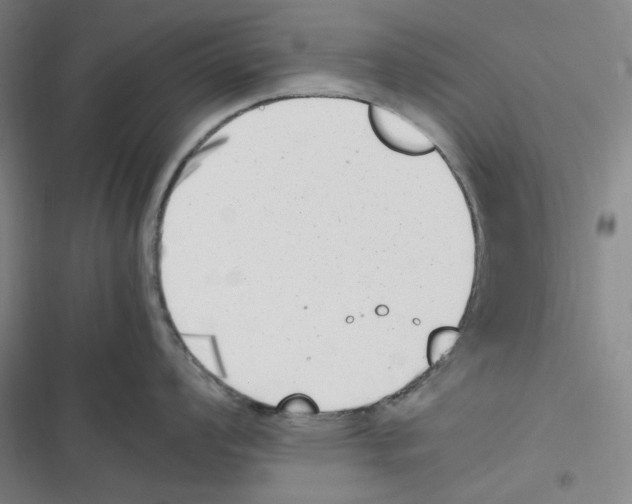 X0000116621008201001081228